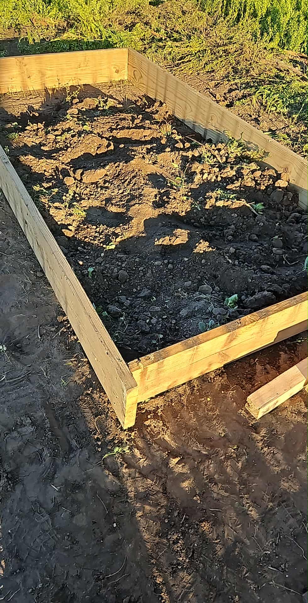 Newly built wooden raised bed with soil