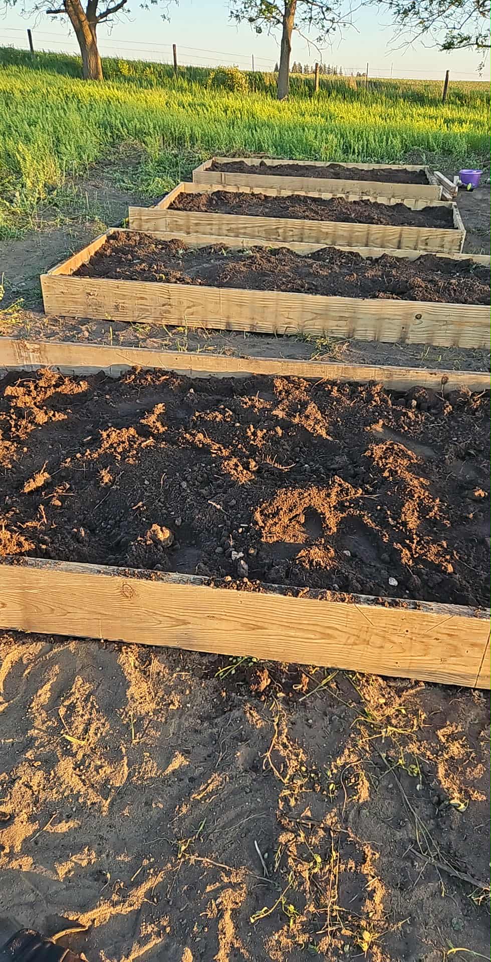 Tiered raised beds in rural setting
