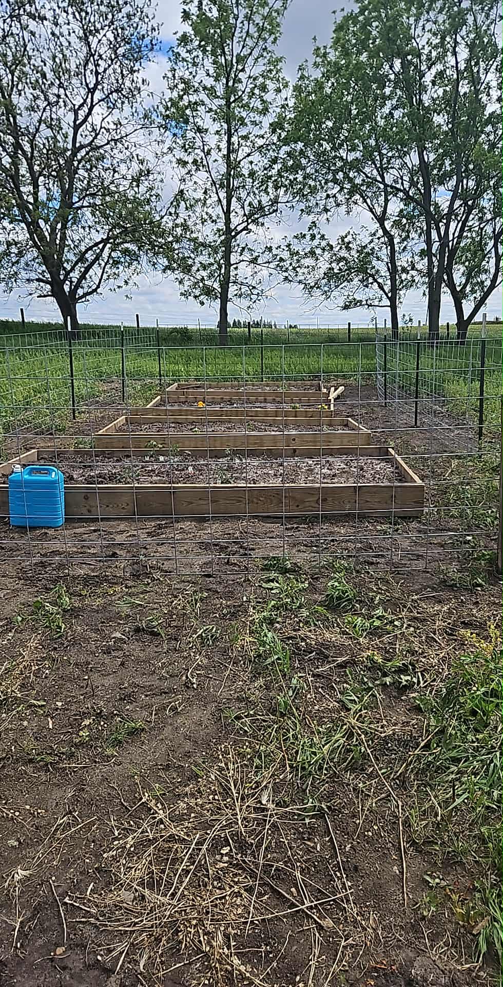 Fenced raised beds in rural setting